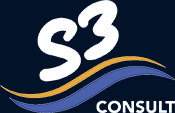 S3 Consult